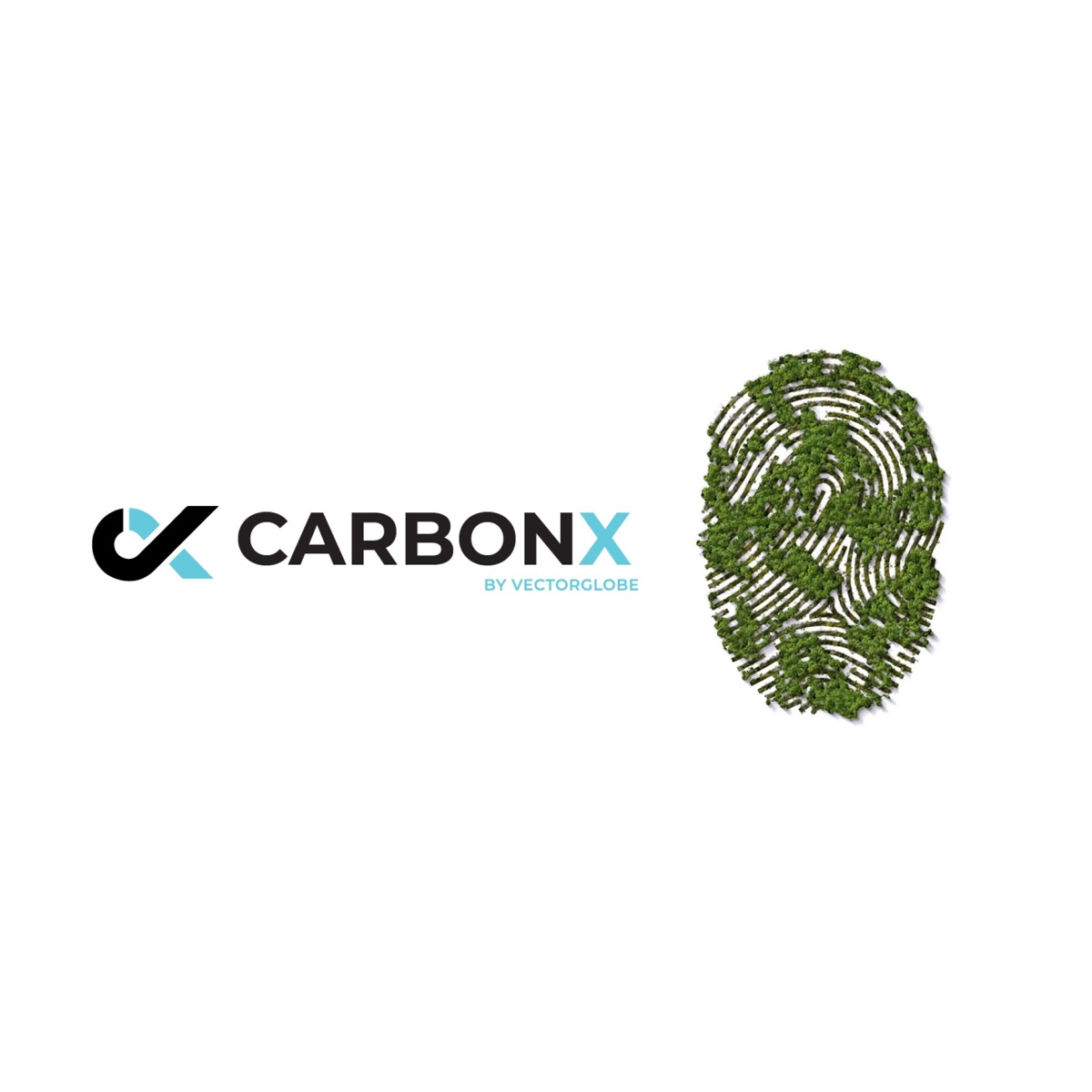 Carbon X: sustainability dashboard cover